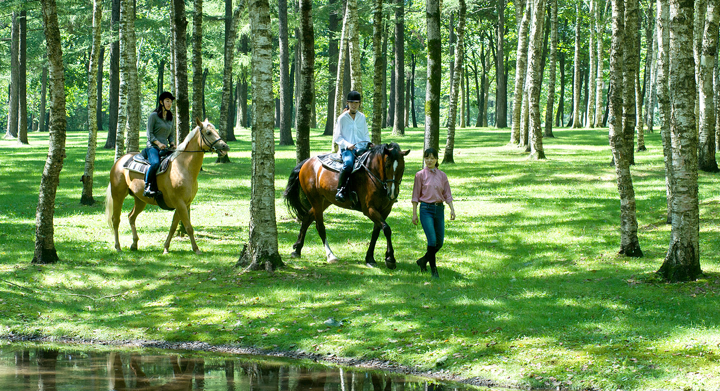 Horses and Scenic Surroundings Create an Unforgettable Experience