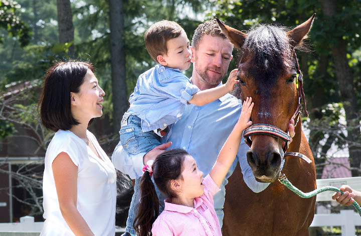 You can interact and learn with many horses.