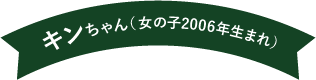 キンちゃん（女の子 2006年生まれ）