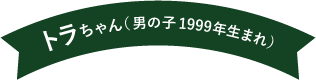 トラちゃん（男の子 1999年生まれ）