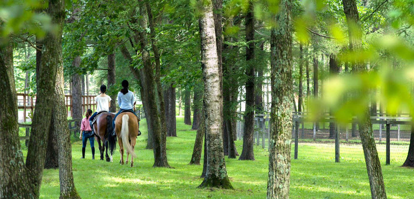 Northern Horse Park