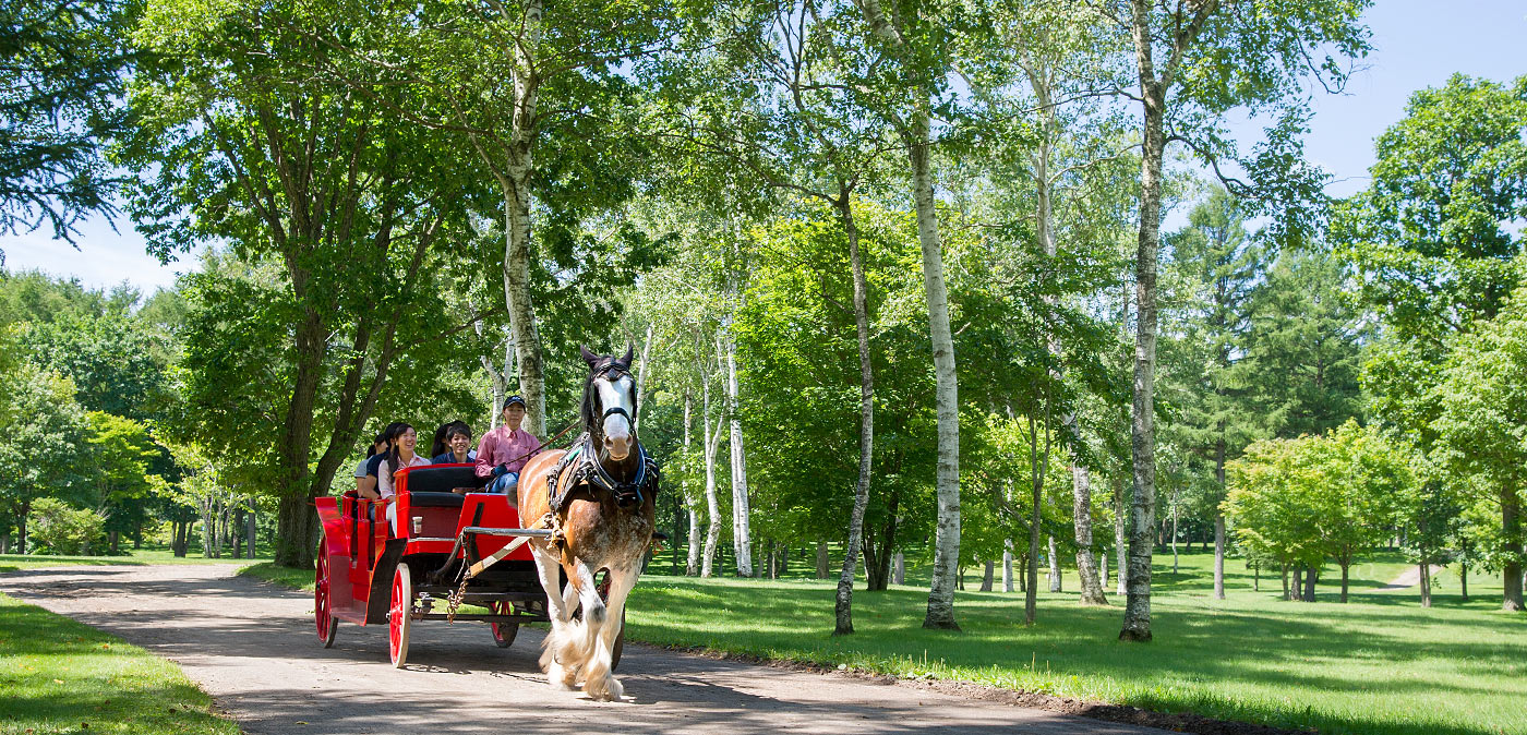 Northern Horse Park