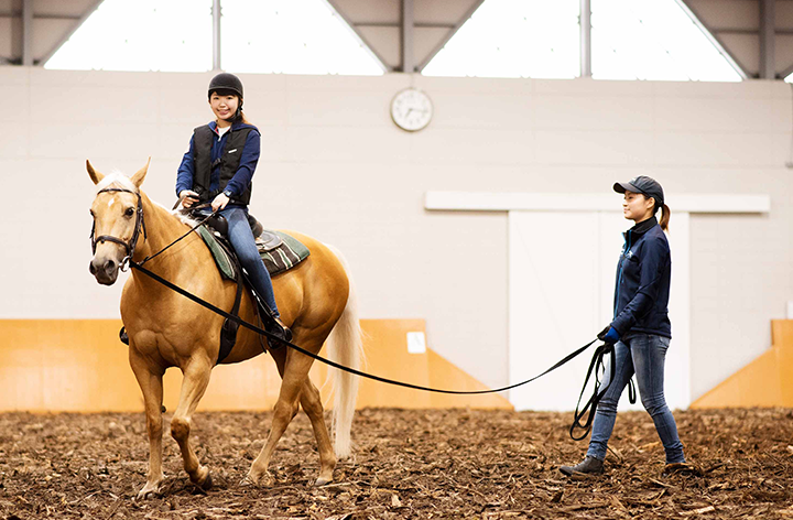 乗馬の券売ります！ ギフト券｜ハワイポロ・オーシャンフロント・トレイルライド