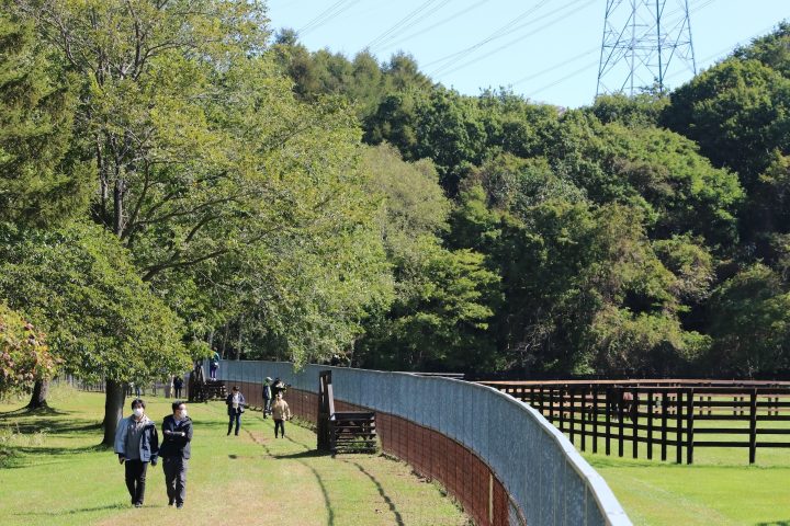 社台スタリオンステーション放牧見学会