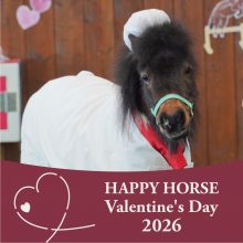 HAPPY HORSE バレンタインデー2026