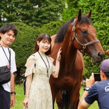 夏期サラブレッドガイド