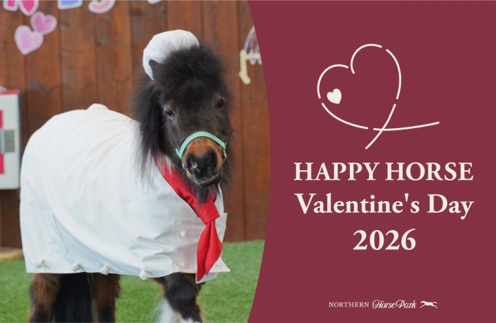 HAPPY HORSE バレンタインデー2026