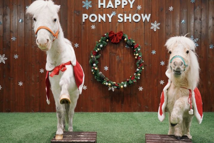 ノーザンホースパーク クリスマスマーケット2025