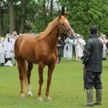 社台スタリオンステーションに行こう！バスツアー2017 PartⅡ