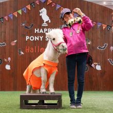 チャリティイベント ノーザンホースパーク ハロウィン2023