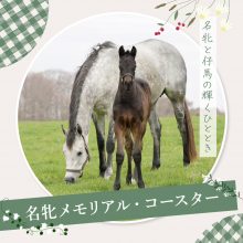 名牝メモリアル・コースター