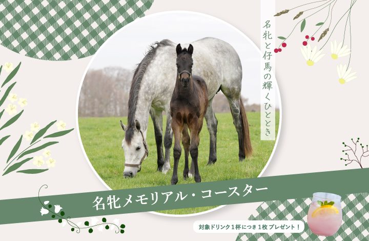 名牝メモリアル・コースター