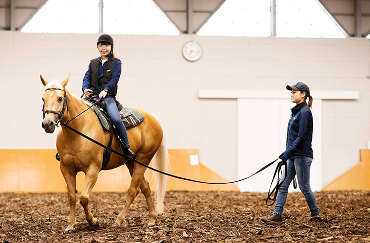 体験乗馬レッスン