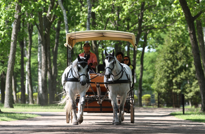 観光馬車