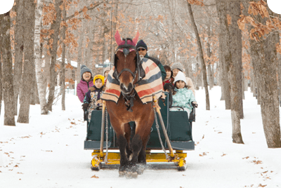 Horse Sled